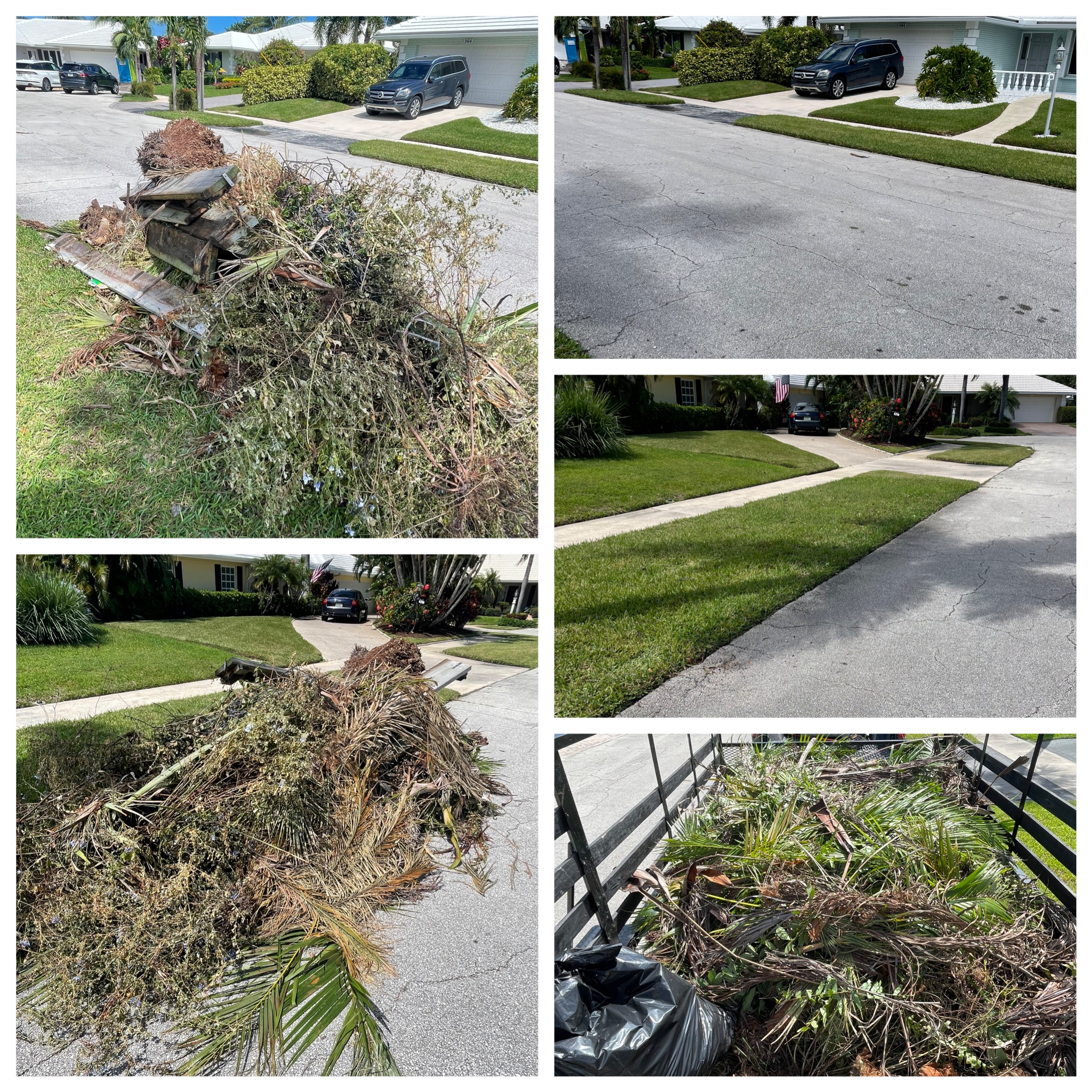 Palm fronds, Planter wooden boarders, roots, and other vegetation debris getting removed from street curb in Jupiter, Florida.